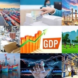 FDI and Vietnam